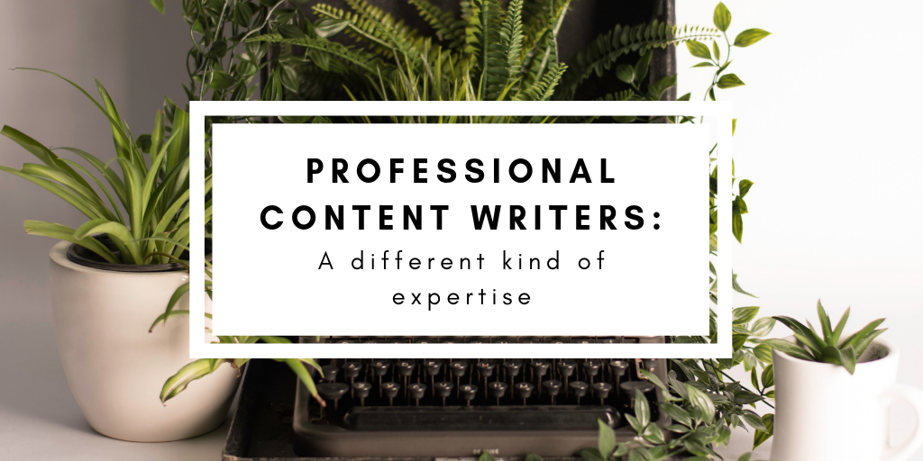 professional content writers review